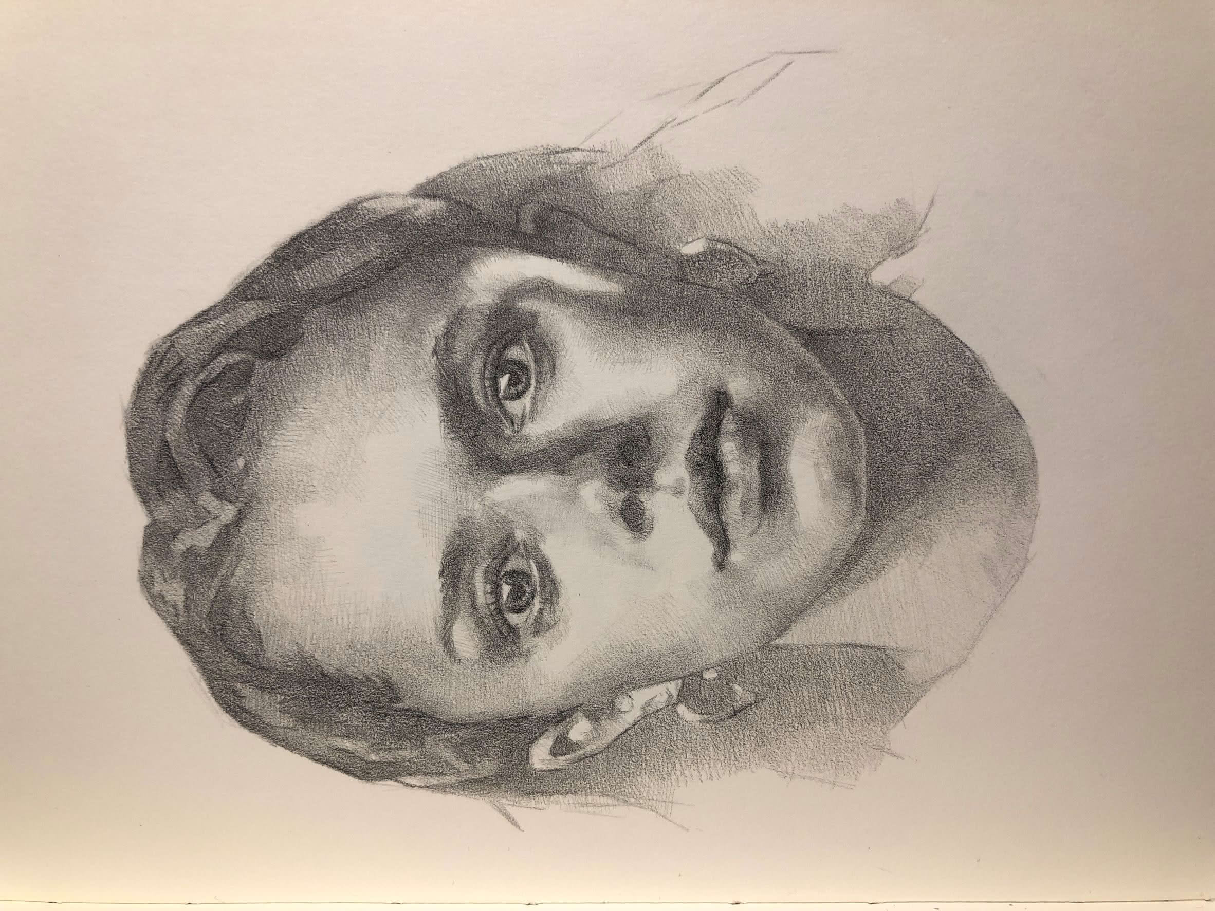 drawing