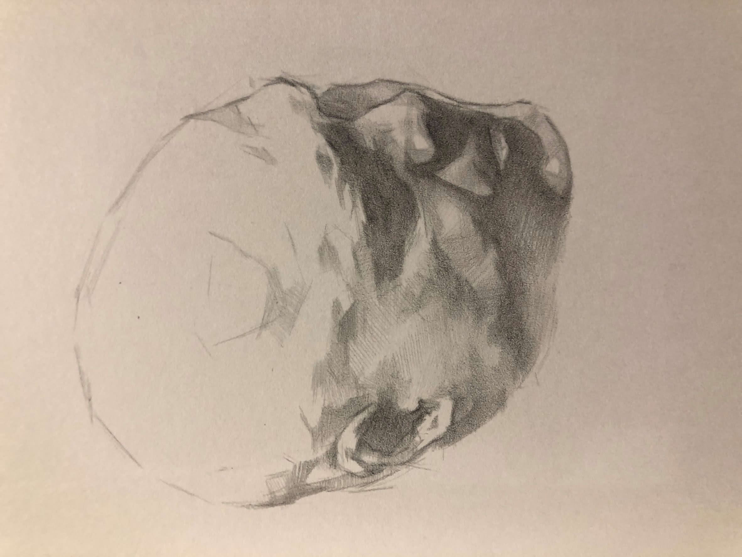 drawing